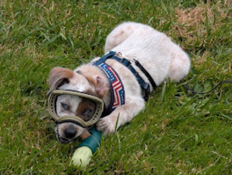 Full gear, zero urgency. Sometimes a pilot just needs to lie in the grass.