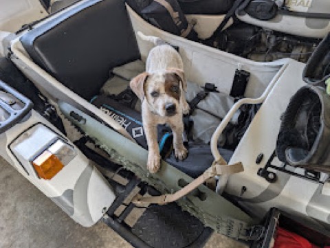 Day 8: found his seat.