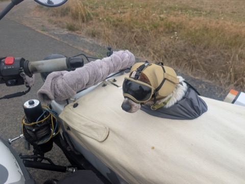 Buttoned in behind the windbreak, goggles down. Engineering review: extremely cozy, ship it.