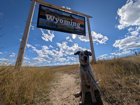 Wyoming, officially inspected and approved. Note the professional sit.