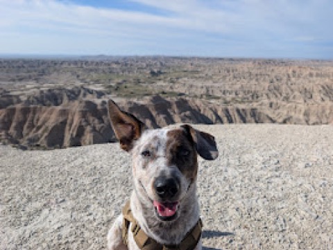 Grinning over the Badlands. The view was mutual.