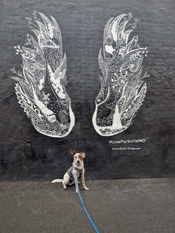 Earned his wings at the Parkville, Missouri mural. Halo sold separately.
