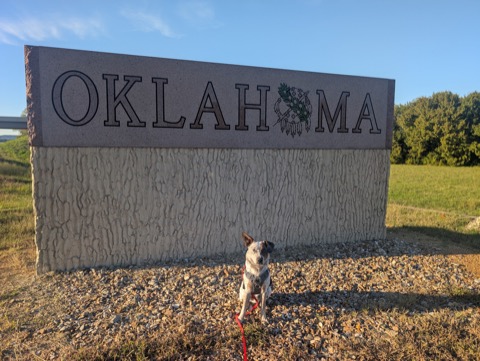 Oklahoma, where the wind comes sweepin' past a very patient cattle dog.