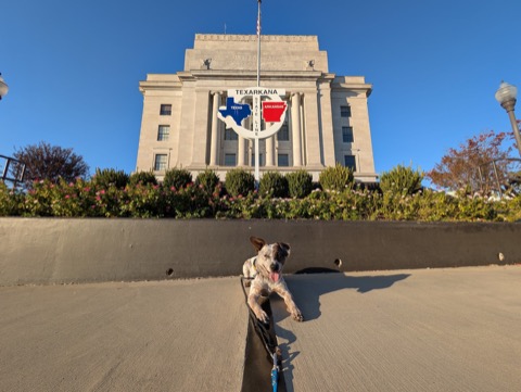 Texarkana: front paws in Texas, tail in Arkansas, tongue undecided.