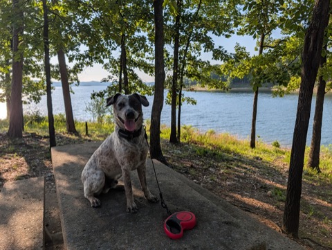 Table for one, lake view included.