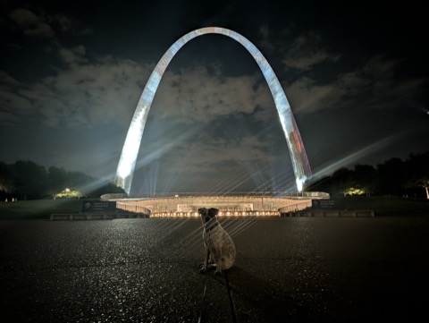 Small dog, big Arch. St. Louis, checked off after dark.