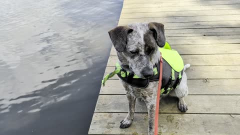 Dock-side deliberation in the life vest, then full send. Camp swim call in Maine.