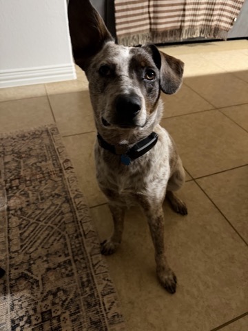 The head tilt. Works every time.